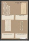 Navicula exempta A.Schm. (de-Toni-Nr.: Genus 1, Species 262) Zeichnungen Sammlung Grunow Nr. 603 (NHMW-BOT-W0366963)